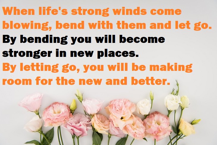 Beautiful Quotes - When life's strong winds come blowing, bend with them and let go. By bending you will become stronger in new places. By letting go, you will be making room for the new and better.