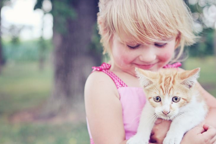 Cute kittens and cats happy and smiling