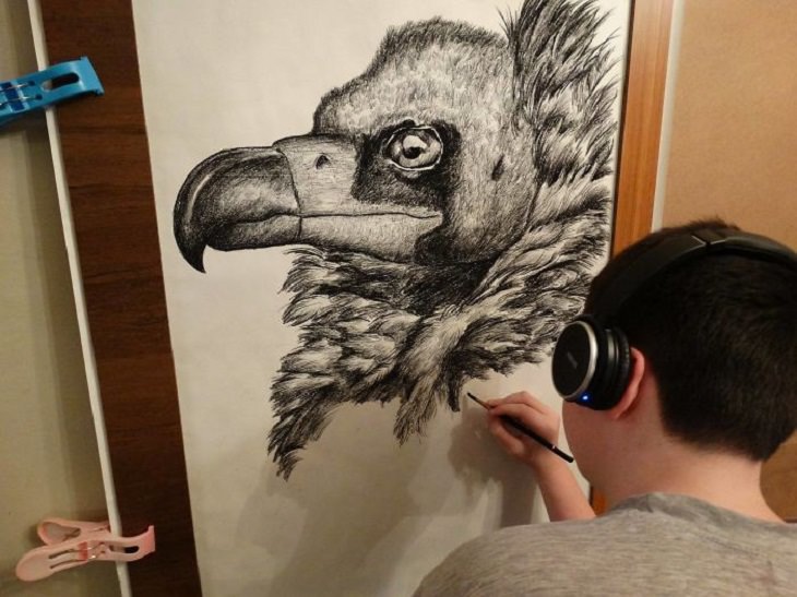 Fantastic Animal Drawings 