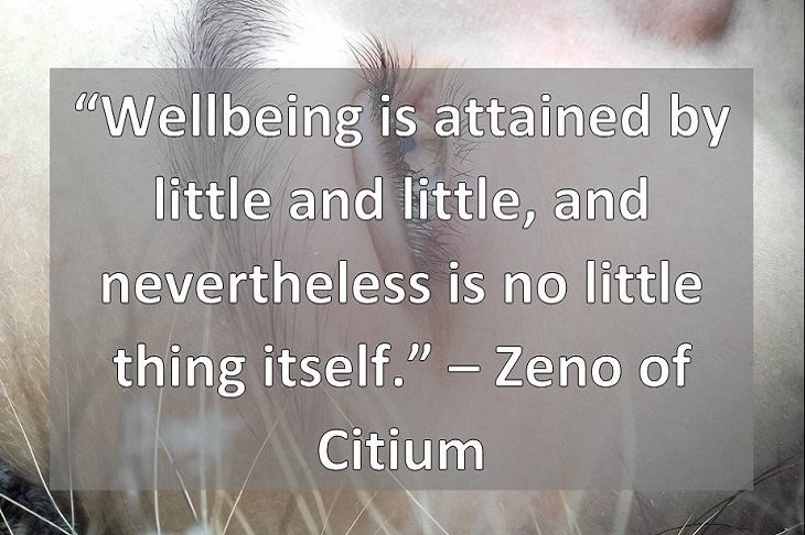 “Wellbeing is attained by little and little, and nevertheless is no little thing itself.” – Zeno of Citium