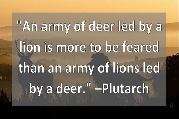 "An army of deer led by a lion is more to be feared than an army of lions led by a deer." –Plutarch