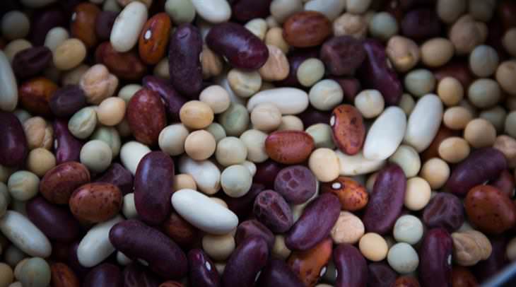 legumes