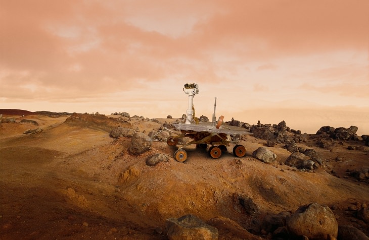 Did NASA Just Find Life on Mars?