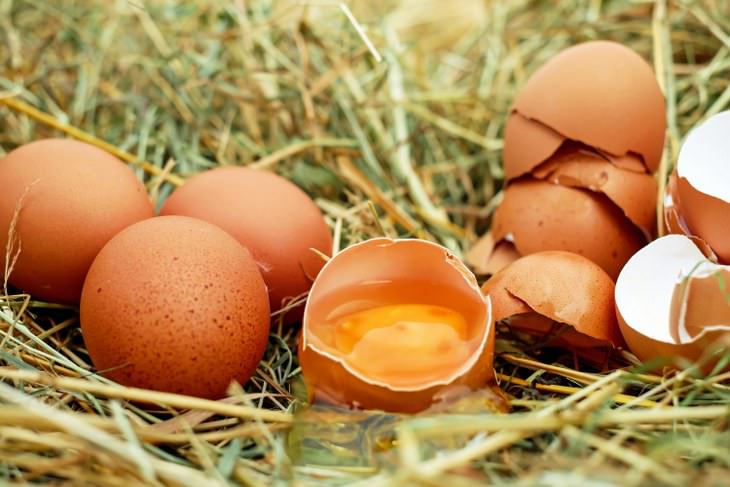 Egg yolk color meaning