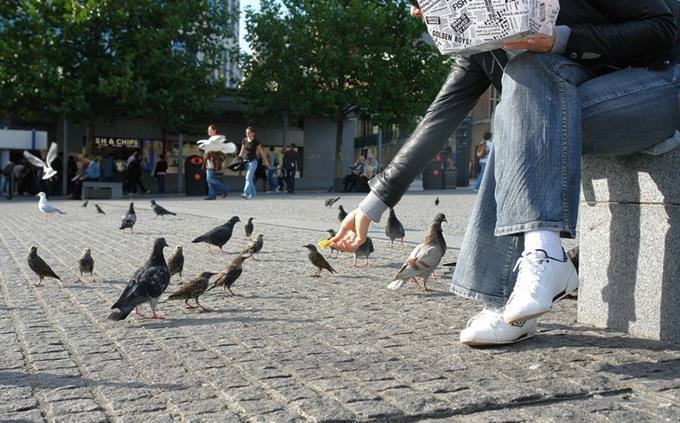 A woman feeding pigeons