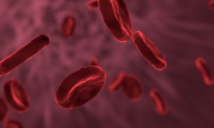 120 human body facts : blood cells
