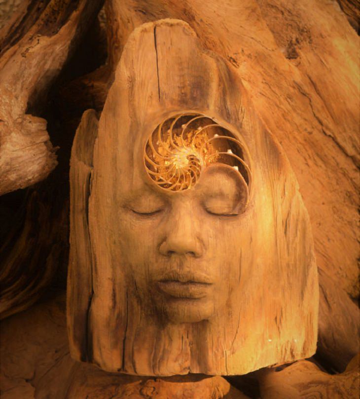 Stunning Driftwood Art