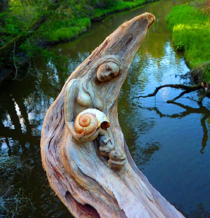 Stunning Driftwood Art