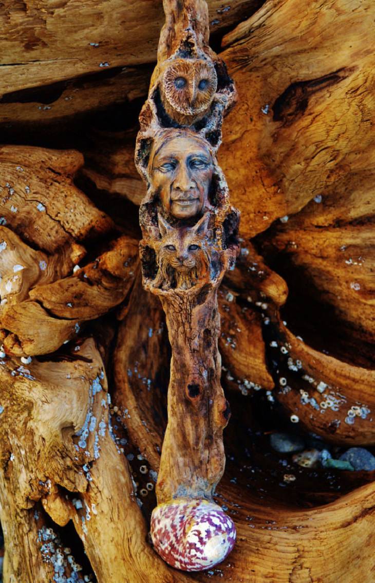 Stunning Driftwood Art