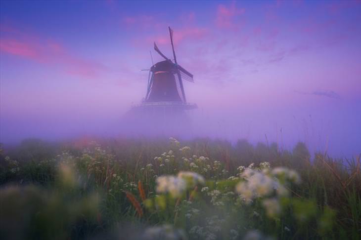 Windmill and Fog Photography 