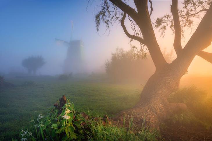 Windmill and Fog Photography 