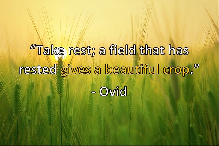  “Take rest; a field that has rested gives a beautiful crop.” - Ovid