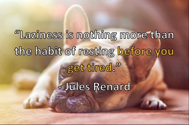 “Laziness is nothing more than the habit of resting before you get tired.” - Jules Renard