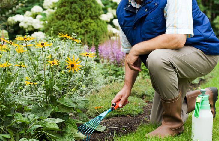 how healthy is your garden?