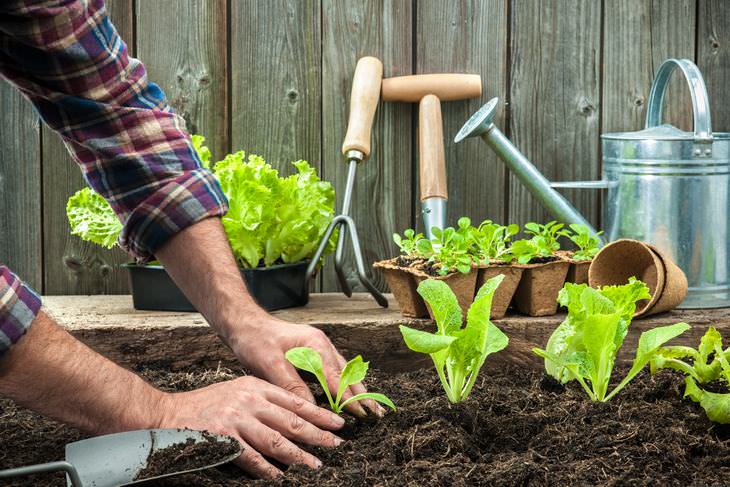 how healthy is your garden?