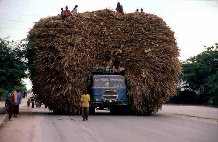 Percentage of overloaded vehicles.