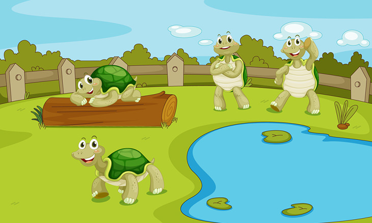 The Story of Four Turtles
