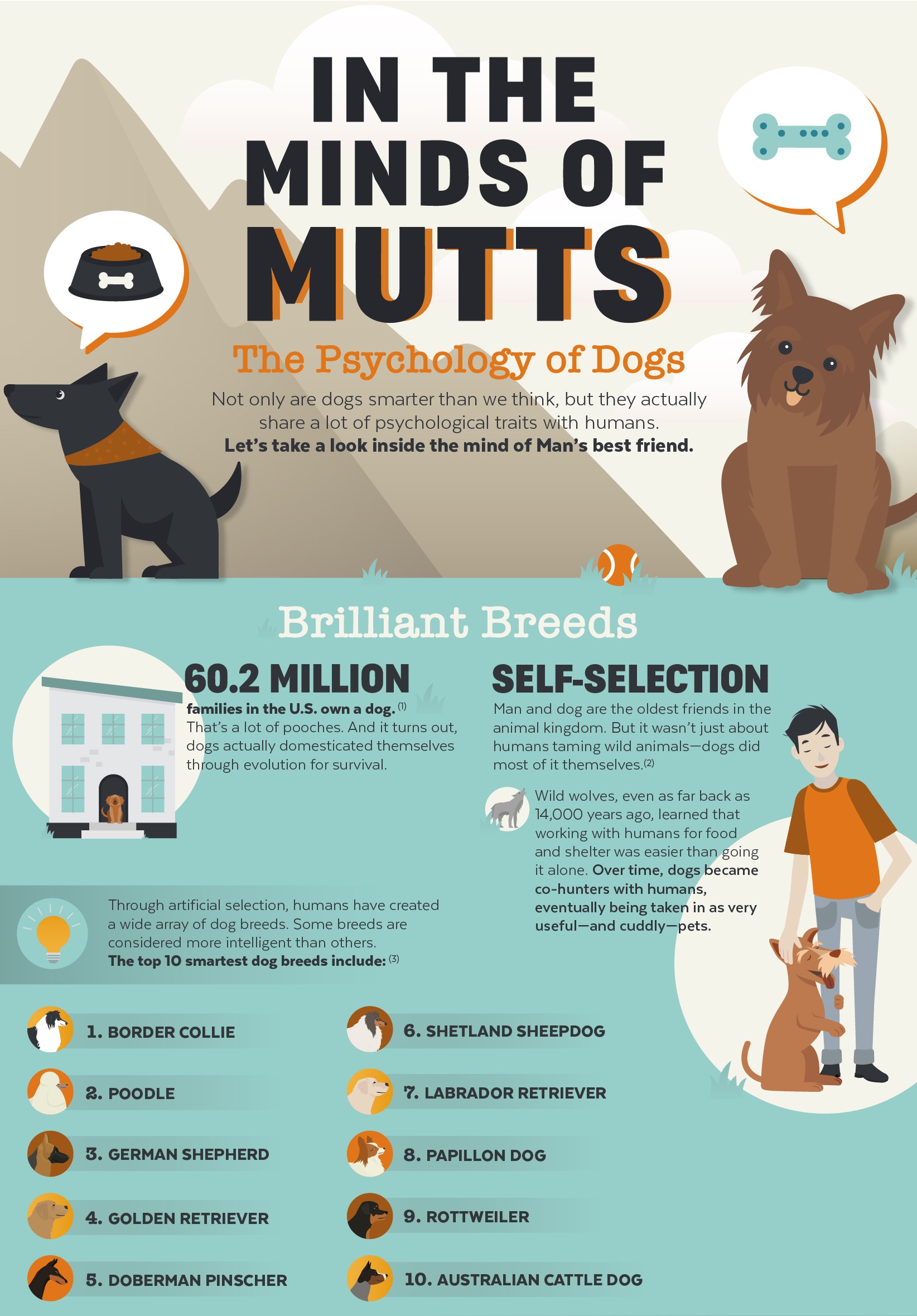 Dog Psychology Guides and Tips
