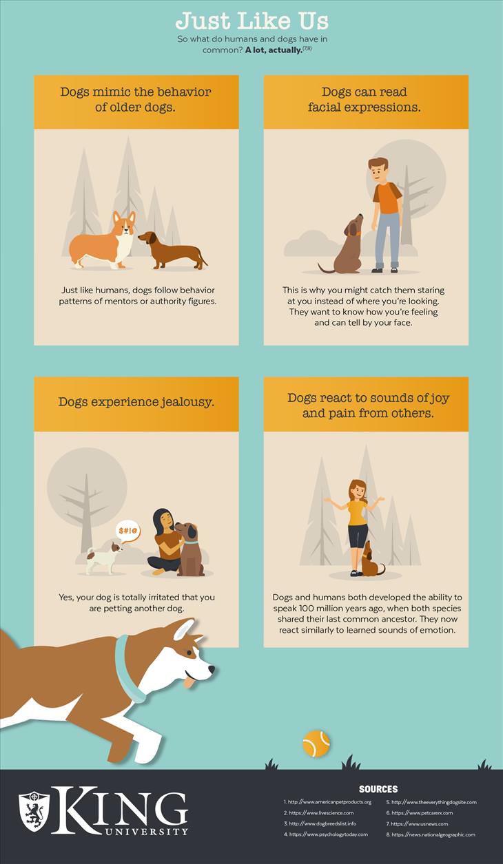 Dog Psychology