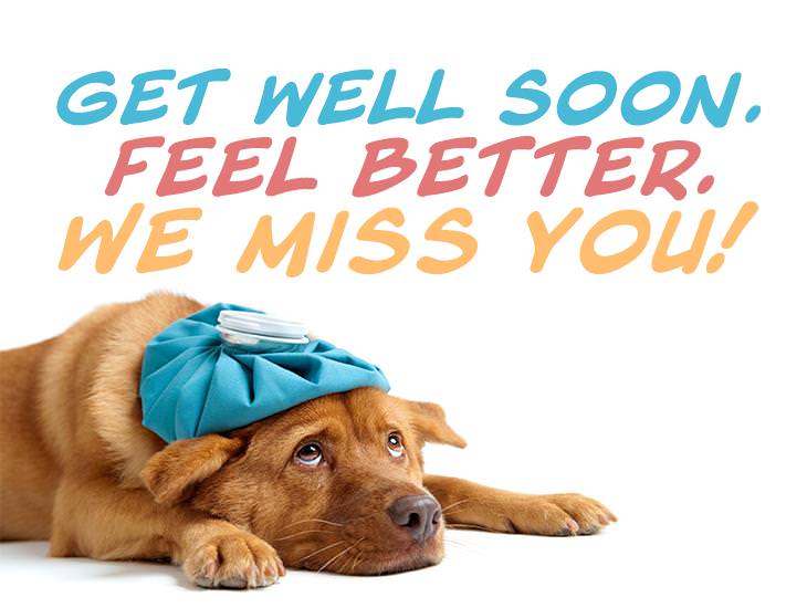 Get Well Soon. Feel Better. We Miss You!