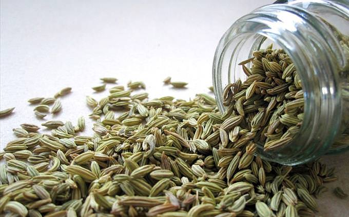 fennel seeds