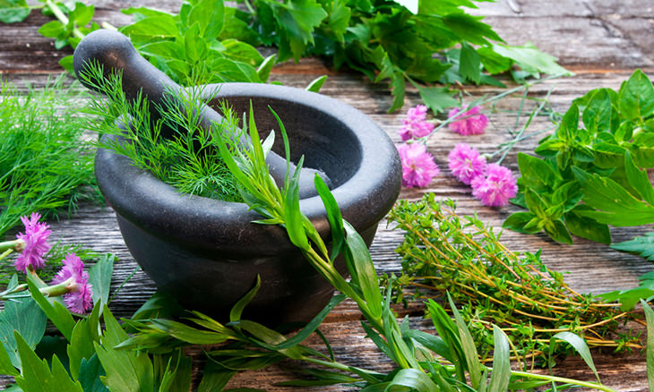 A Guide to Keeping Herbs Fresher For Longer