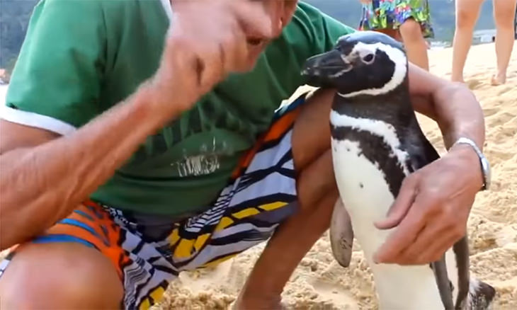 An Eternally Thankful Penguin and His Savior