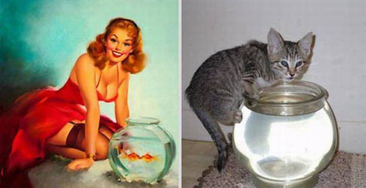 cats-pin-up-girls