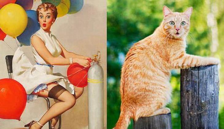cats-pin-up-girls