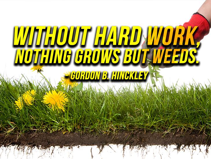 Without Hard Work, Nothing Grows But Weeds.