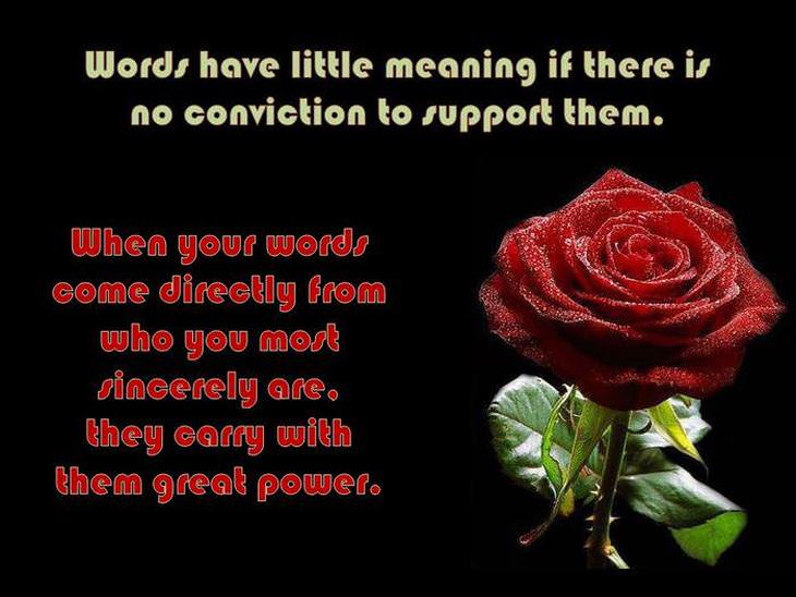 roses-beautiful-words