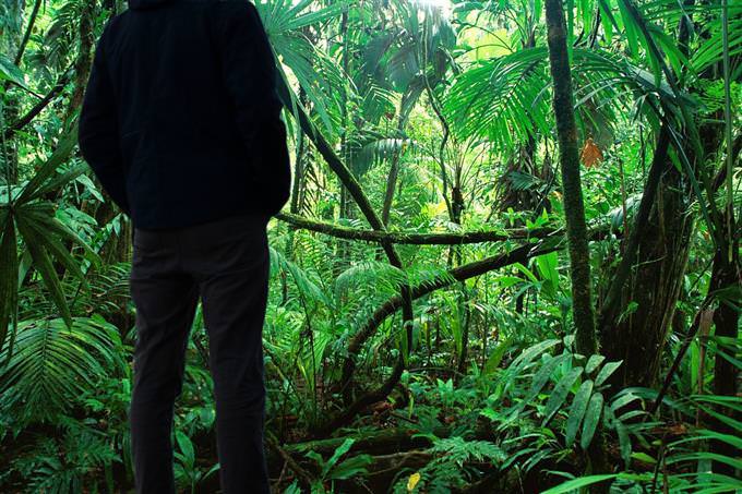 A man standing in the jungle