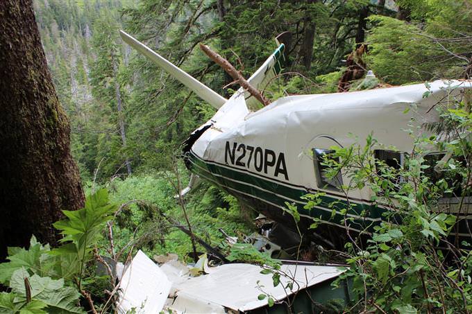 A plane crash in the jungle