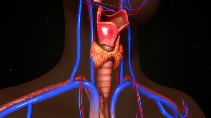 immunotherapies