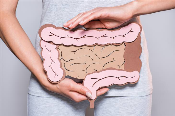 a woman holding a picture of the gut in front of her belly