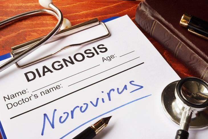 norovirus