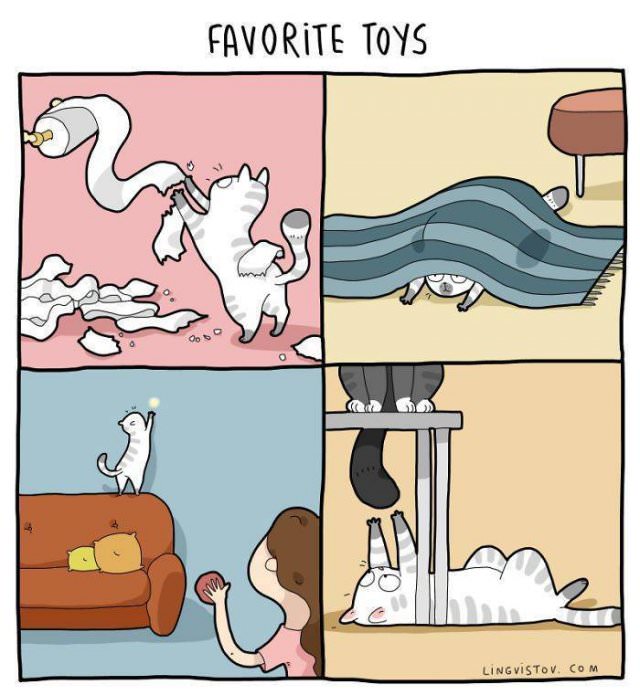 funny cat comics