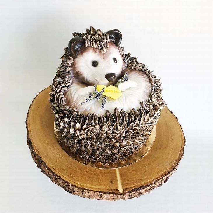 cakes by Darsi hedgehog