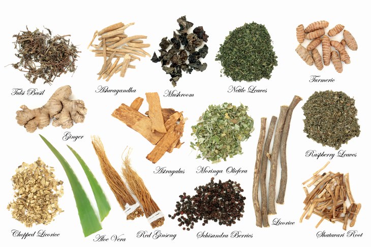 Adaptogens list of adaptogens