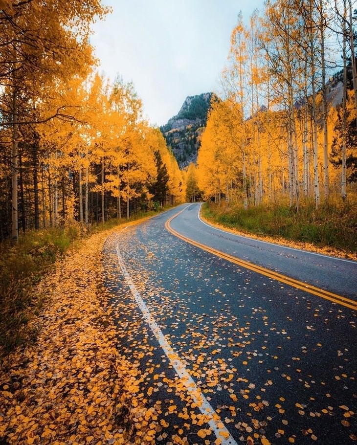 Fall Photos From Across the Globe Colorado, US