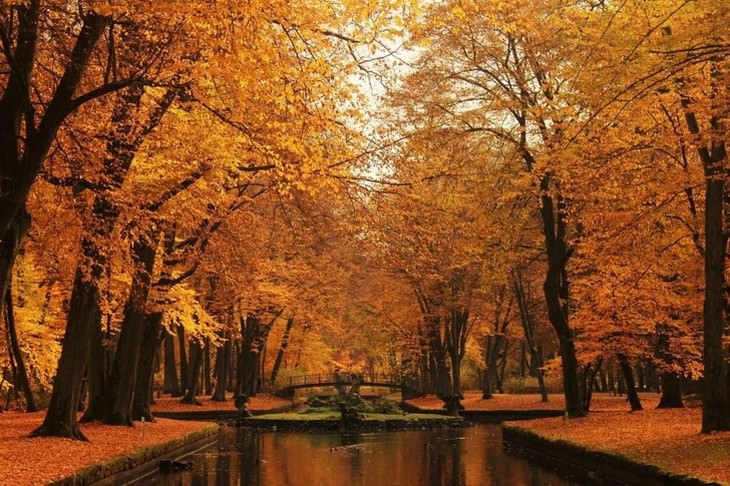 Fall Photos From Across the Globe Bayreuth, Germany