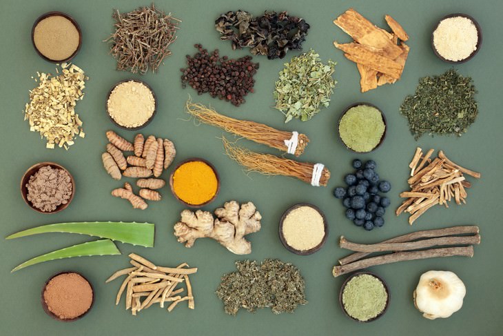 Adaptogens various herbs