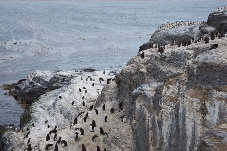 12 Least Densely Populated Places on The Planet Falkland Islands 