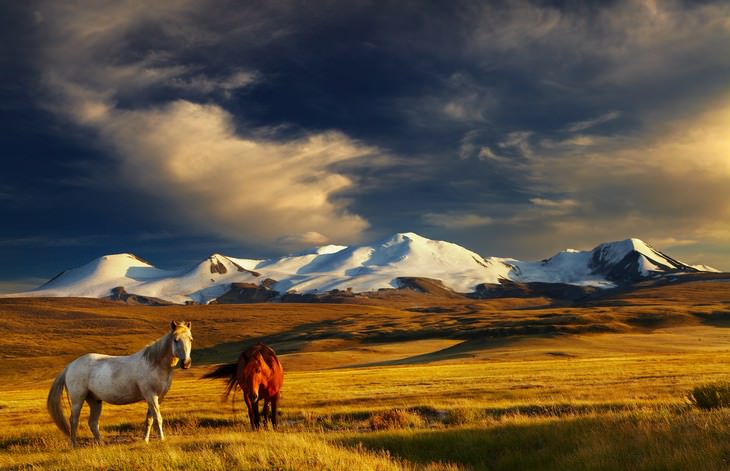 12 Least Densely Populated Places on The Planet Mongolia