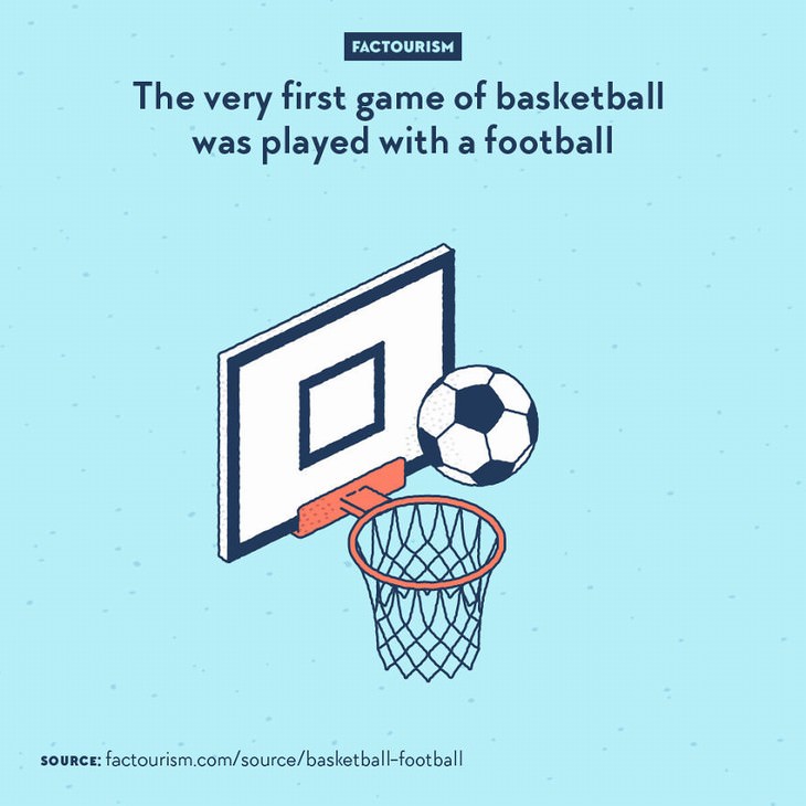 Factourism illustrations basketball football
