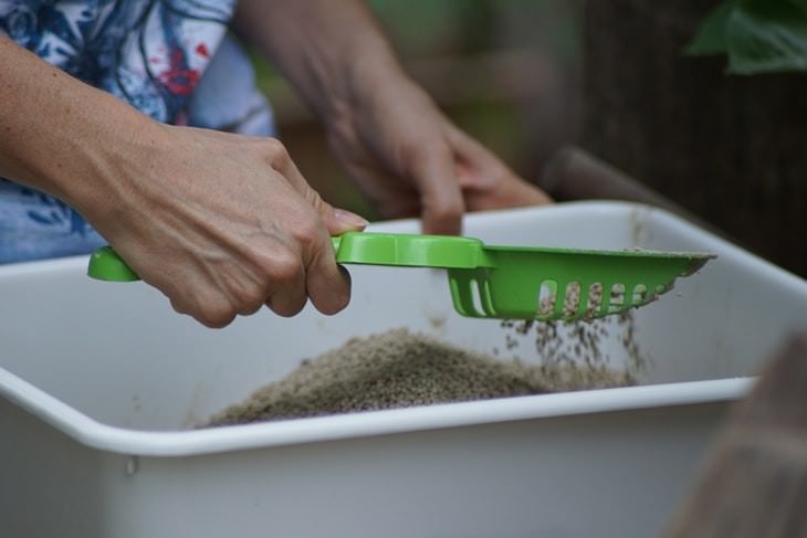 small things to save the environment Opt for biodegradable kitty litter