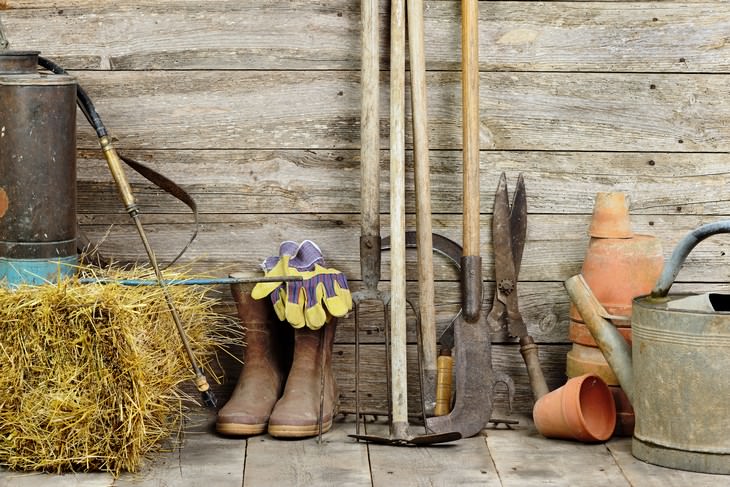 winter lawn care tips gardening tools in the shed