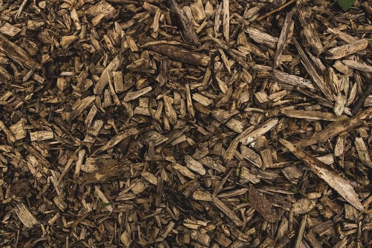 winter lawn care tips mulch