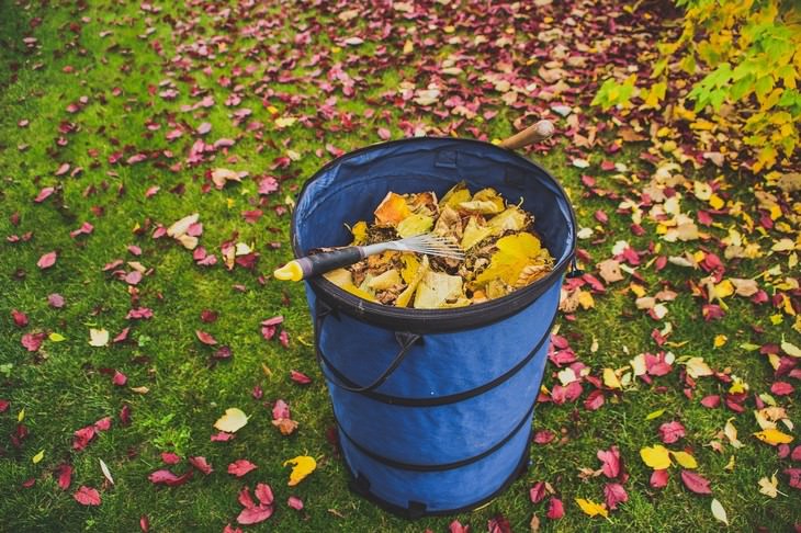 winter lawn care tips a bucket full of leaves in the yard