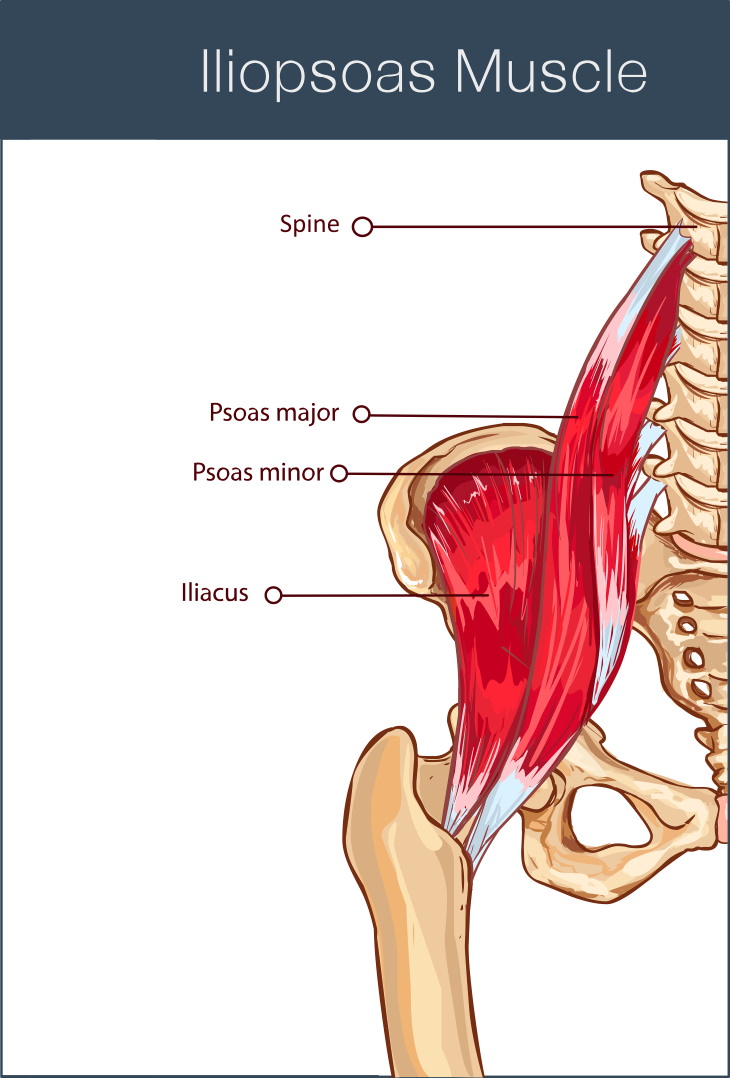 iliopsoas stretch